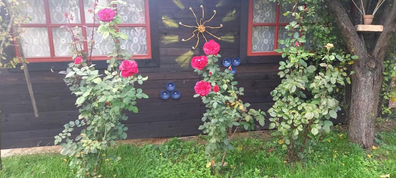 Ket Puli Vendeghaz Apartment Bichișciaba Exterior foto
